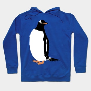 Gentoo Penguin Hoodie